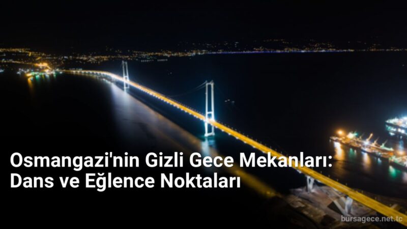 Osmangazi'nin Gizli Gece Mekanları: Dans ve Eğlence Noktaları - bursagece.net.tc