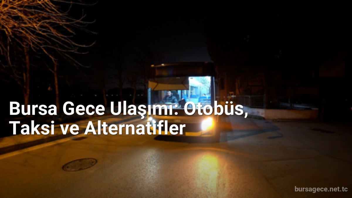 Bursa Gece Ulaşımı: Otobüs, Taksi ve Alternatifler - bursagece.net.tc